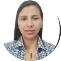 perfil del desarrollador web